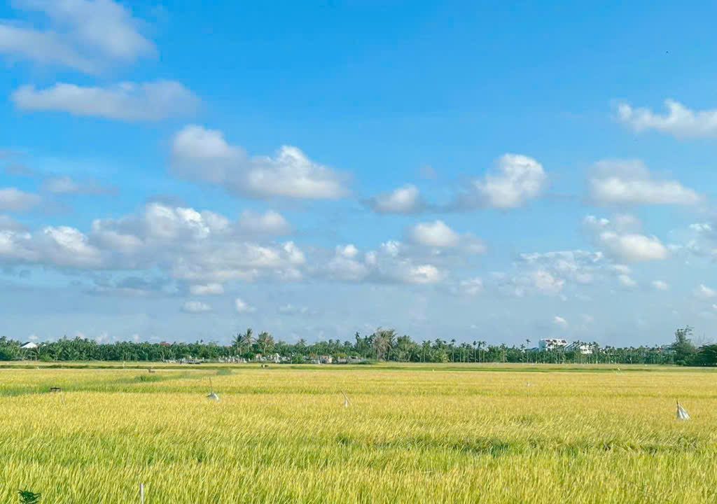 22130a8bd6436b1d3252